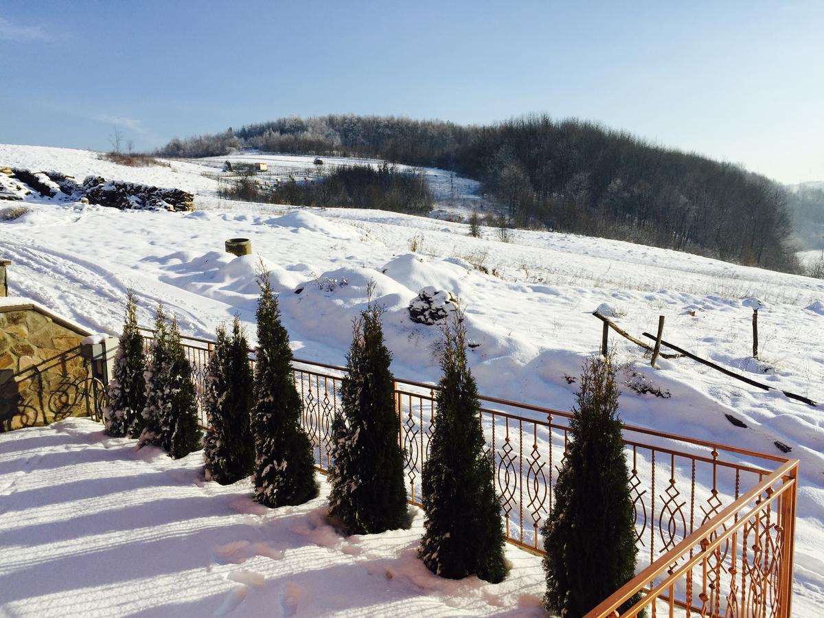 Mini Hotel Solnce Karpat Poljana Exterior foto